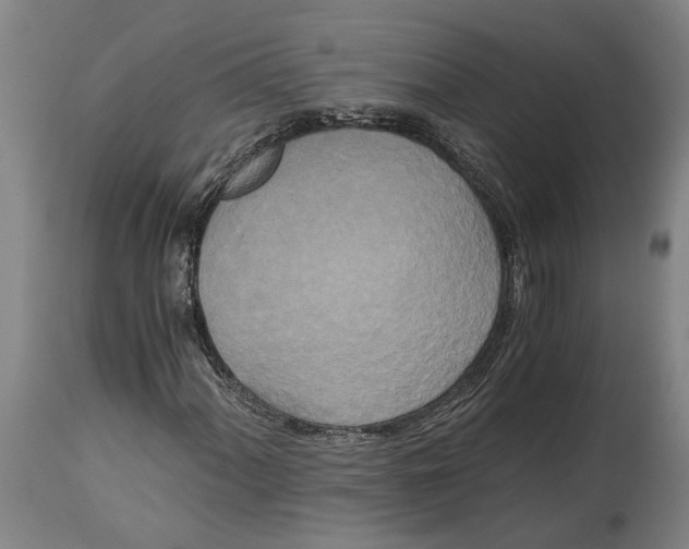 X0000114591060200911161326