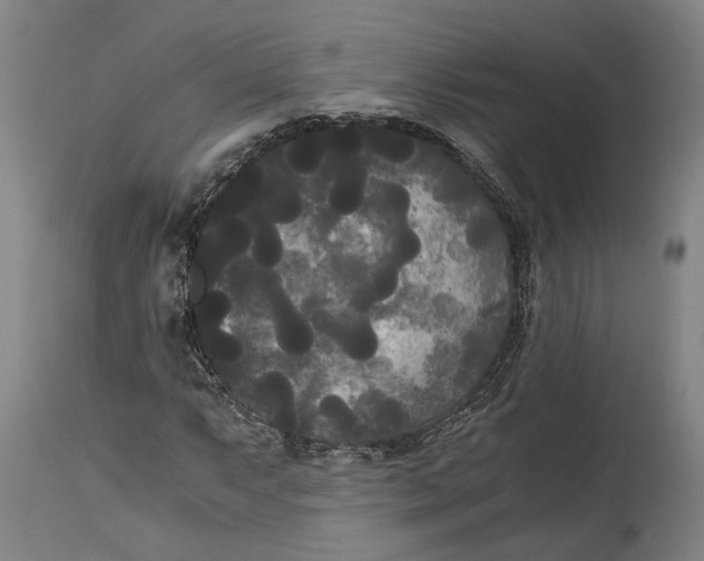 X0000114591063200911161326