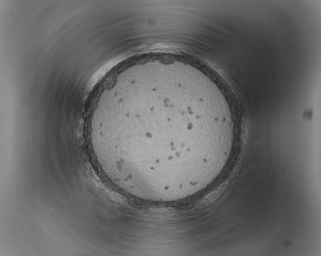 X0000114591066200911161326