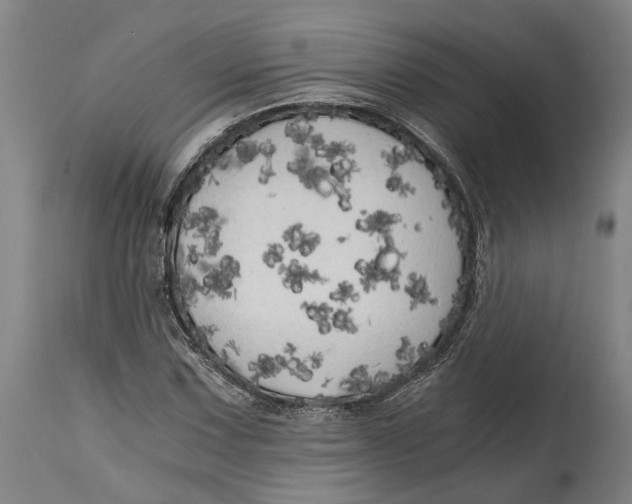 X0000114591067200911161326