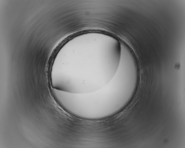 X0000114591068200911161326