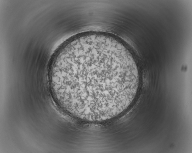 X0000114591070200911161326