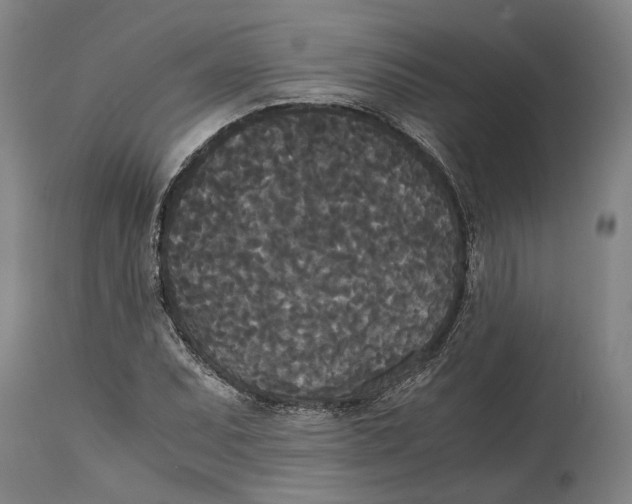 X0000114591071200911161326