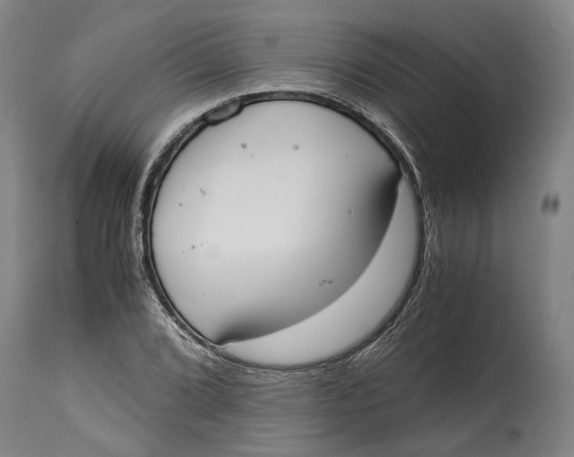 X0000114591072200911161326