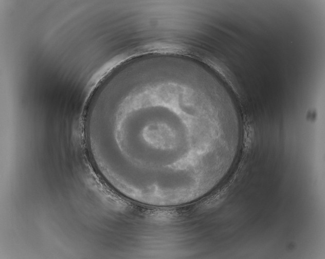 X0000114591074200911161326