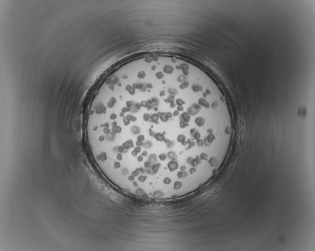 X0000114591075200911161326