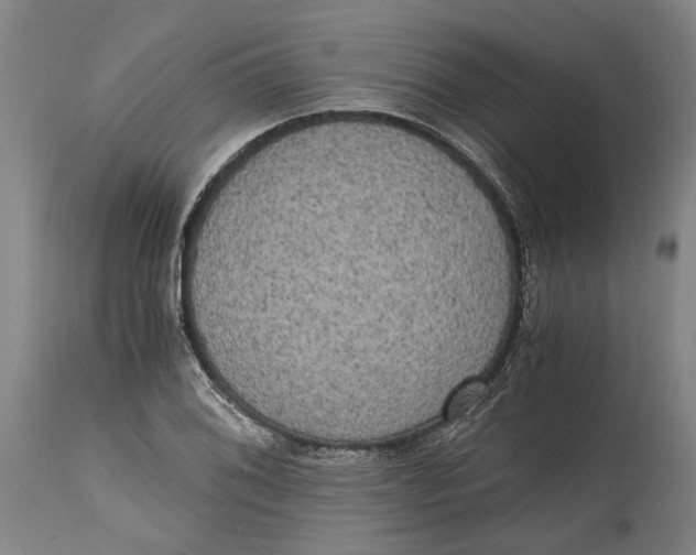 X0000114591076200911161326