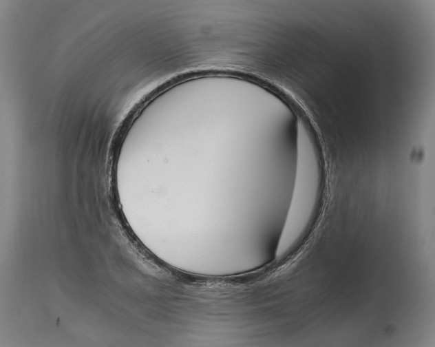 X0000114591077200911161326