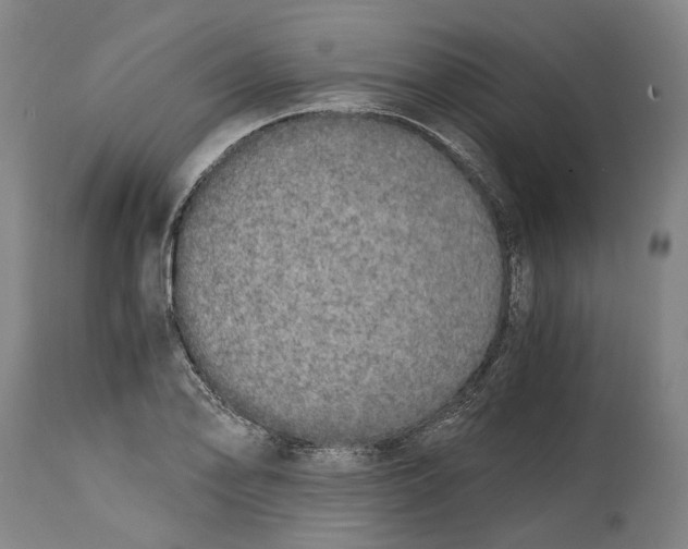 X0000114591078200911161326