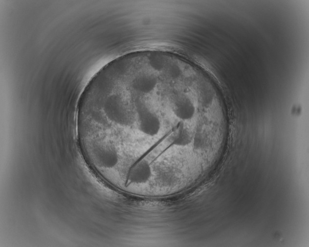 X0000114591079200911161326