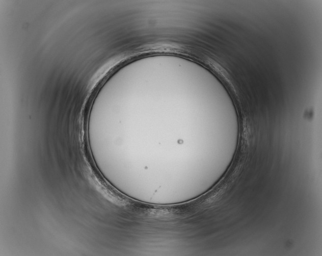 X0000114591082200911161326