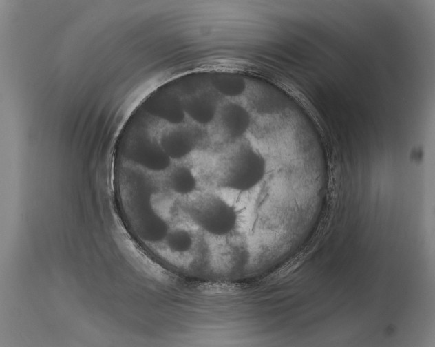 X0000114591083200911161326