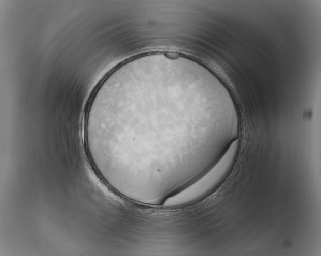 X0000114591084200911161326