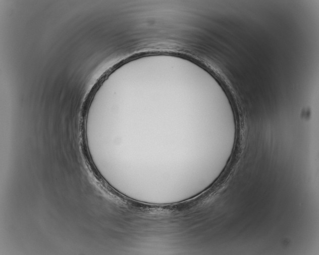 X0000114591085200911161326