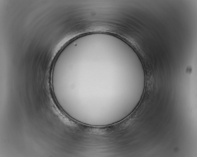 X0000114591086200911161326