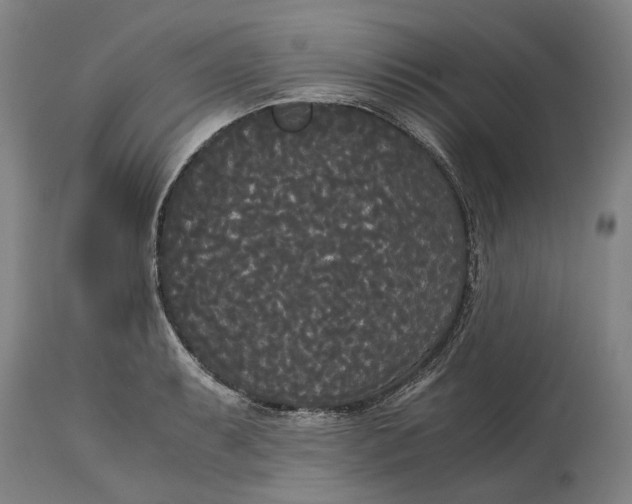 X0000114591087200911161326