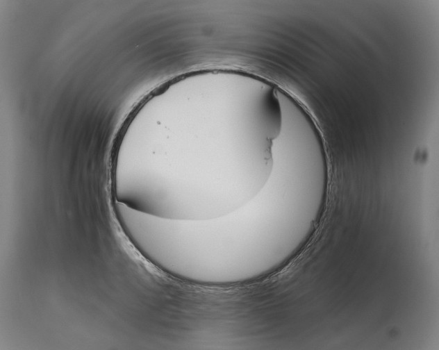 X0000114591088200911161326