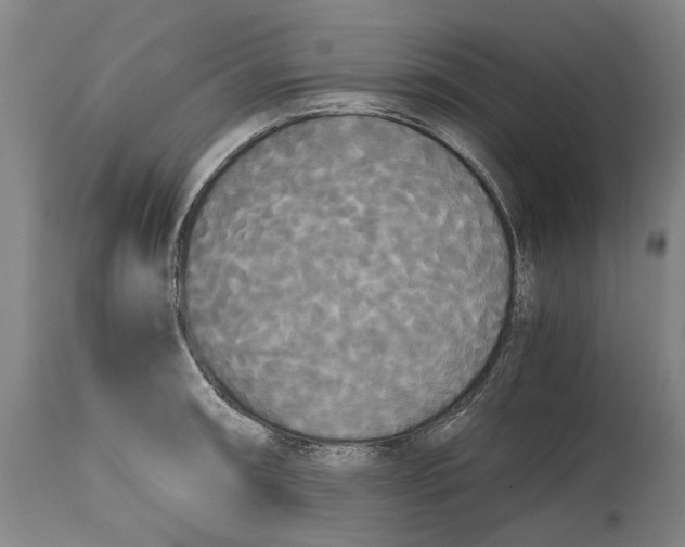 X0000114591090200911161326