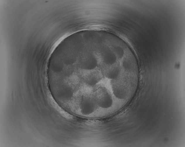 X0000114591091200911161326