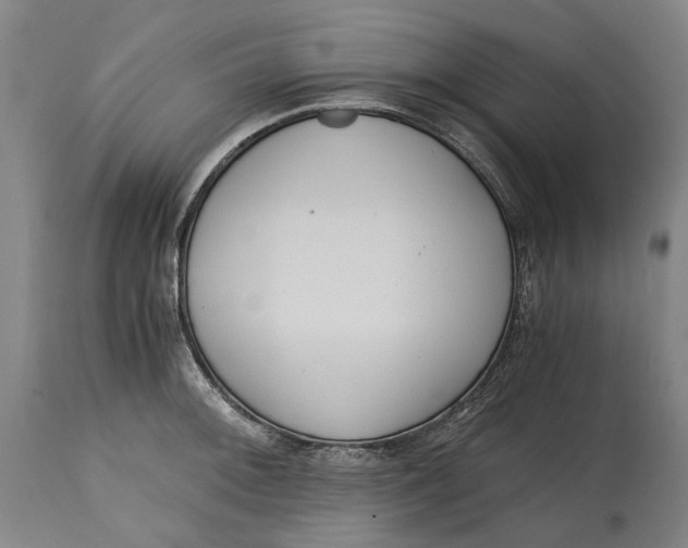 X0000114591092200911161326