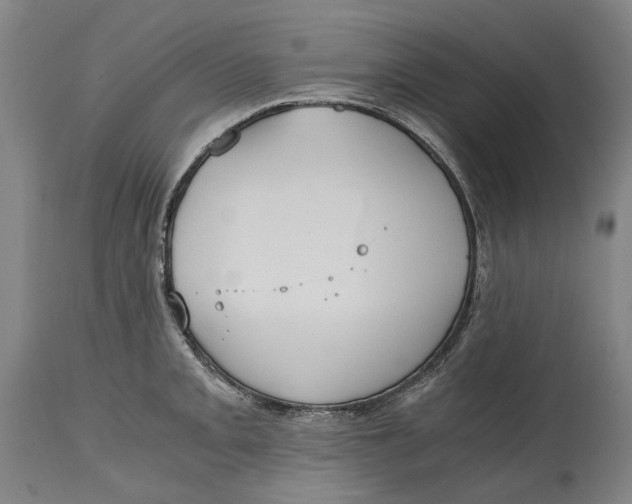 X0000114591093200911161326