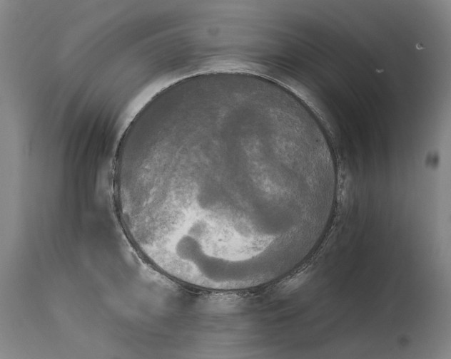 X0000114591094200911161326