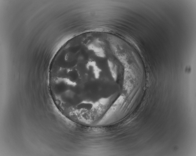 X0000114591095200911161326