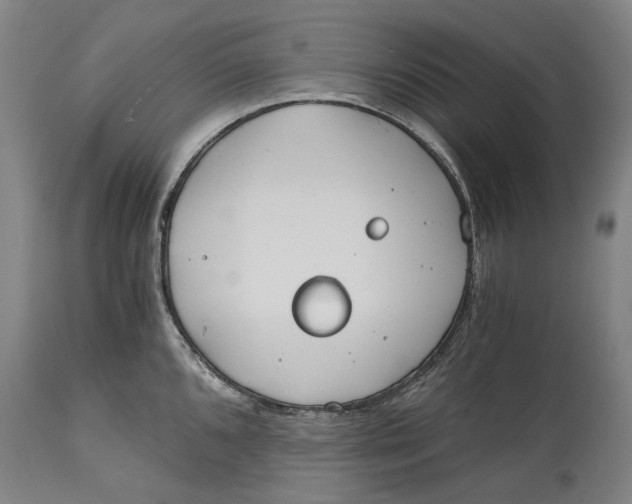 X0000114591096200911161326