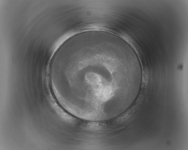 X0000114591098200911161326