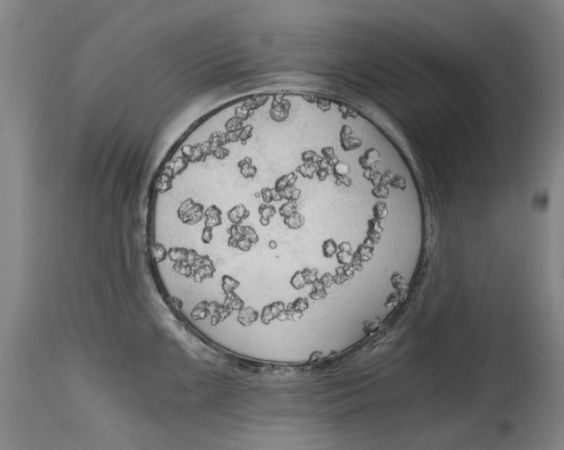 X0000114591099200911161326