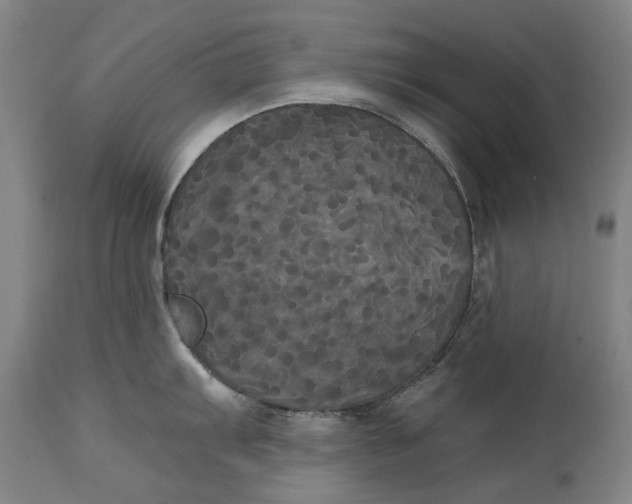 X0000114591103200911161325