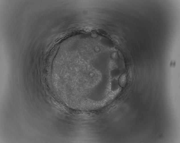 X0000114591105200911161325