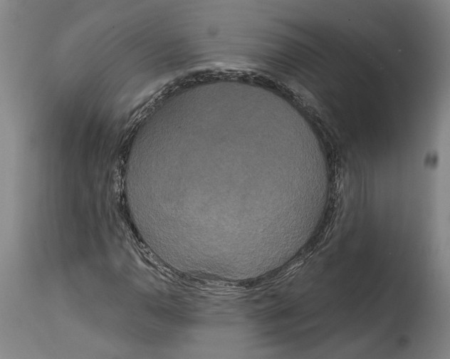 X0000114591110200911161325