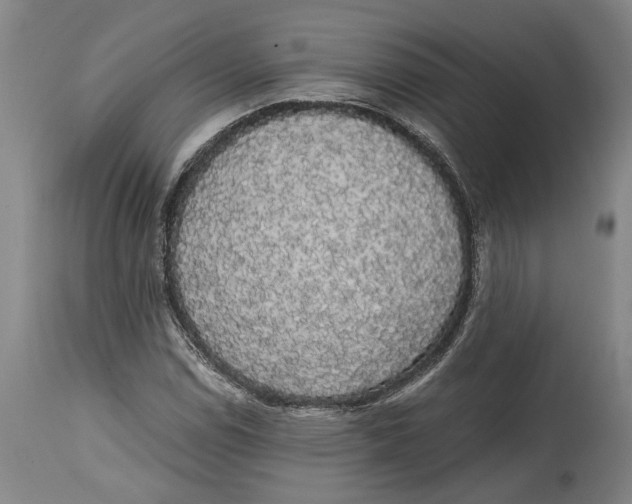 X0000114591114200911161325