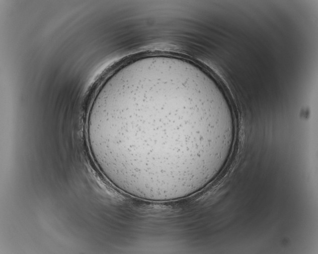 X0000114591115200911161325