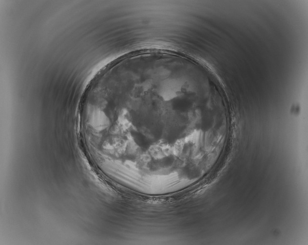 X0000114591125200911161325