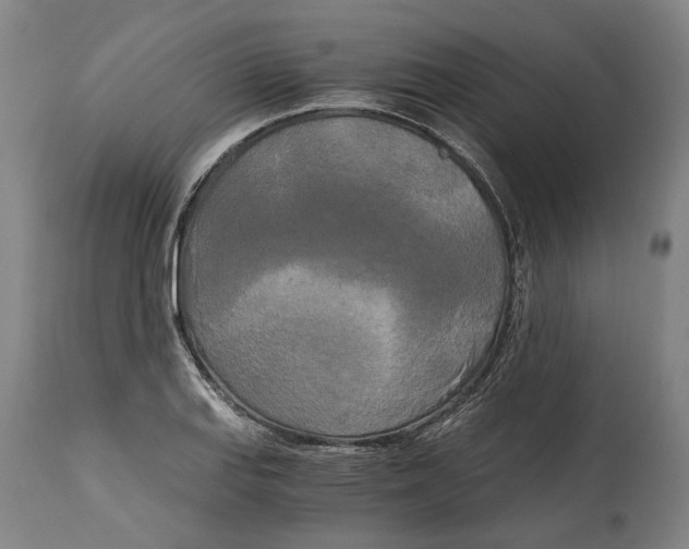 X0000114591127200911161325