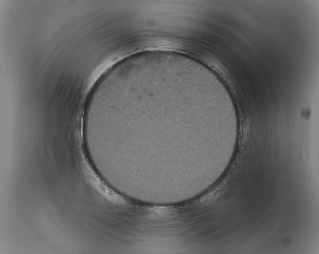 X0000114591130200911161325