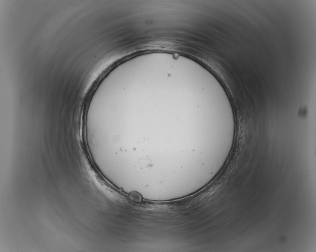 X0000114591131200911161325