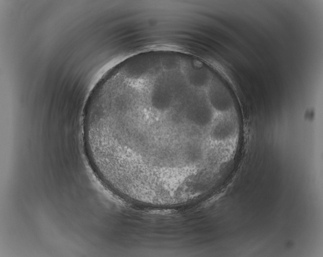 X0000114591133200911161325