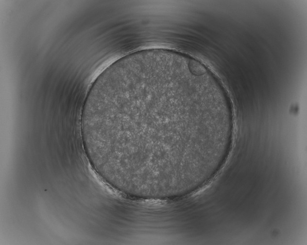 X0000114591137200911161325