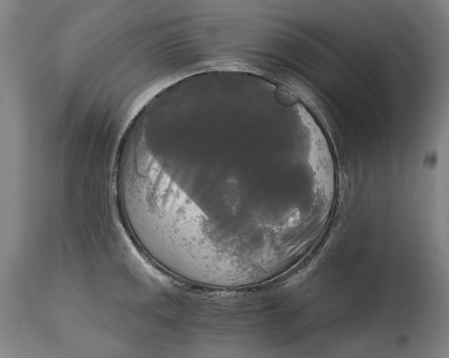 X0000114591141200911161325