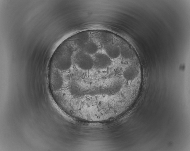 X0000114591142200911161325