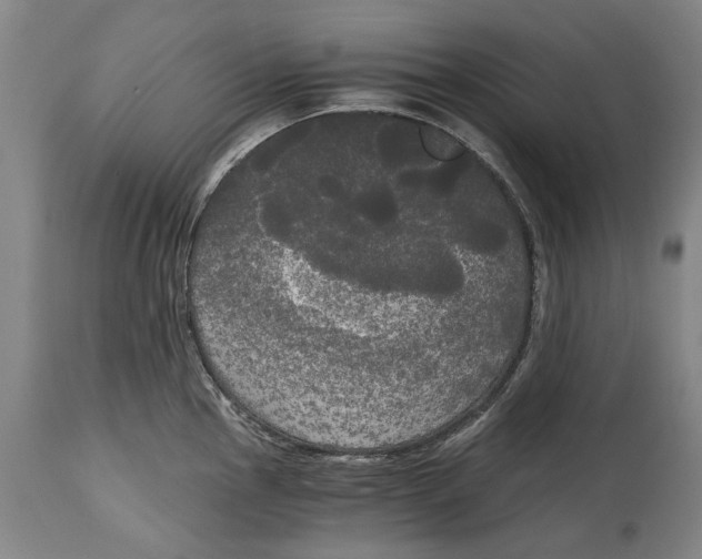 X0000114591145200911161325