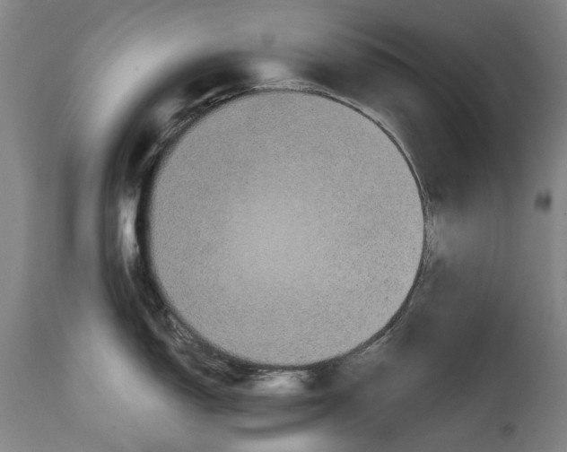 X0000114591150200911161325