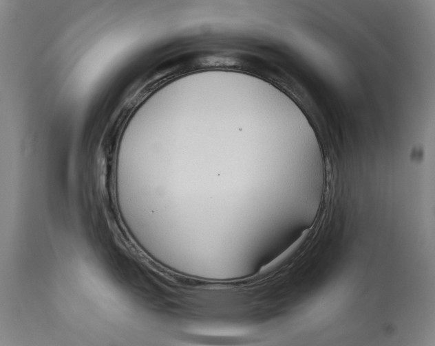 X0000114591151200911161325