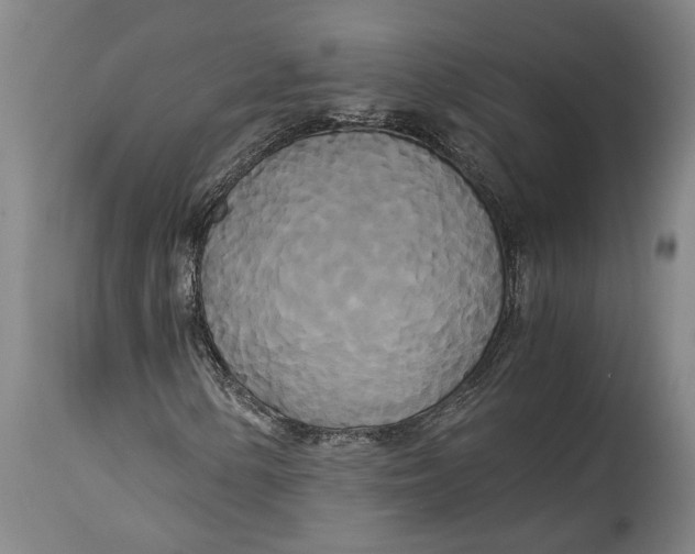 X0000114591154200911161325