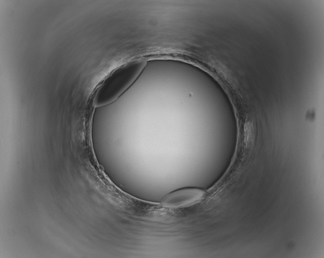 X0000114591165200911161325