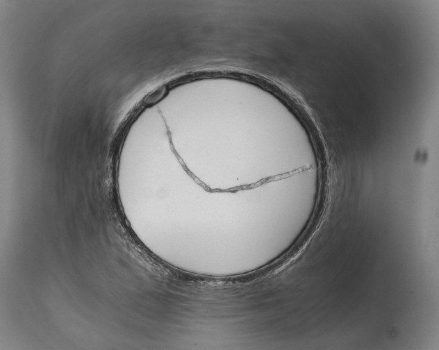 X0000114591167200911161325