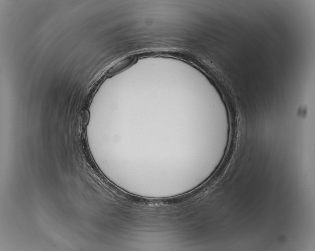 X0000114591169200911161325